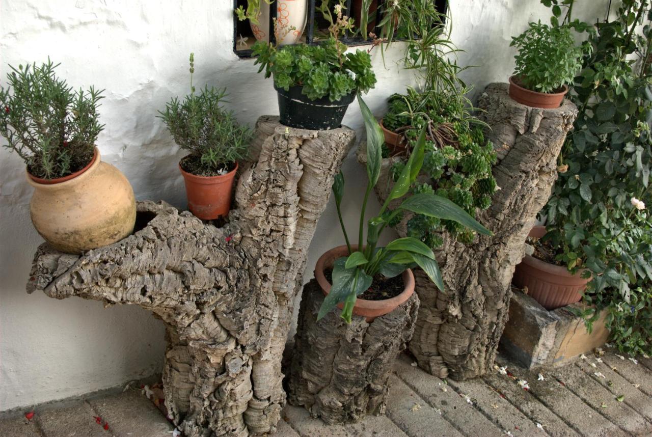 Vila Cruzchiquita Alpandeire Exteriér fotografie